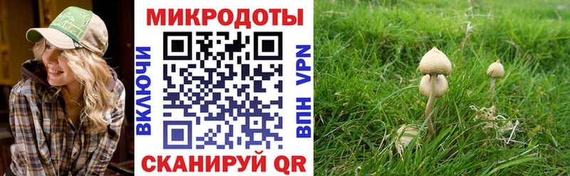 Псилоцибиновые грибы мухоморы  нарко площадка клад  Кола 