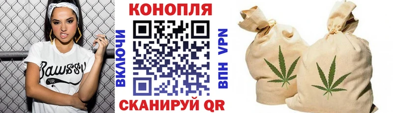 Бошки марихуана сатива  даркнет сайт  Кола 
